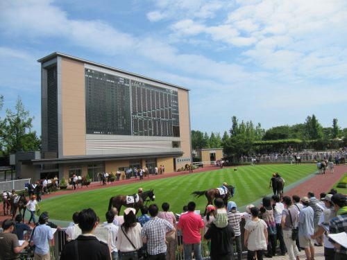 新潟競馬場　パドック