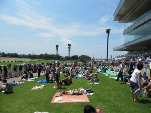 新潟競馬場