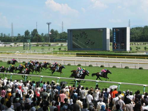 新潟競馬場　直線