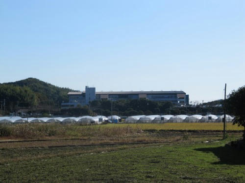 高知競馬場