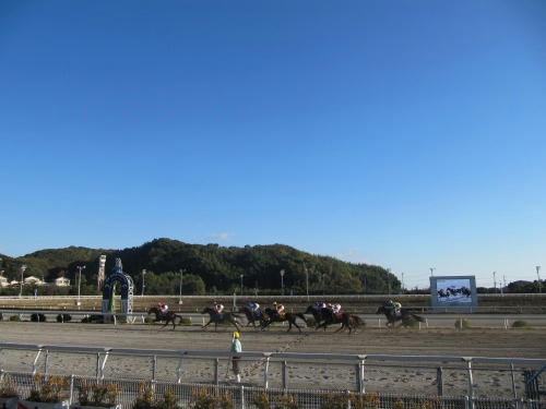 高知競馬場