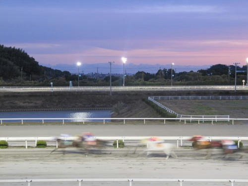 高知競馬場