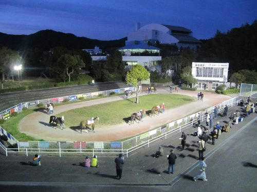 高知競馬場　パドック