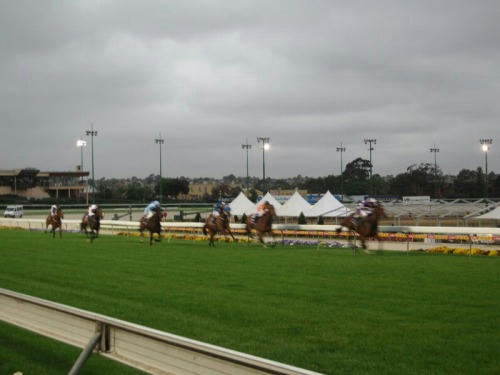 ムーニーバレー競馬場