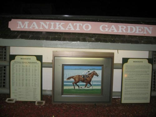 ムーニーバレー競馬場