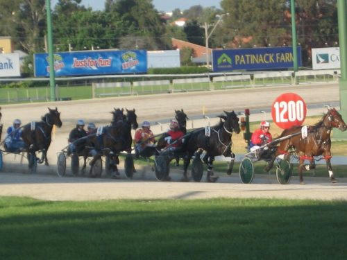 ムーニーバレー競馬場