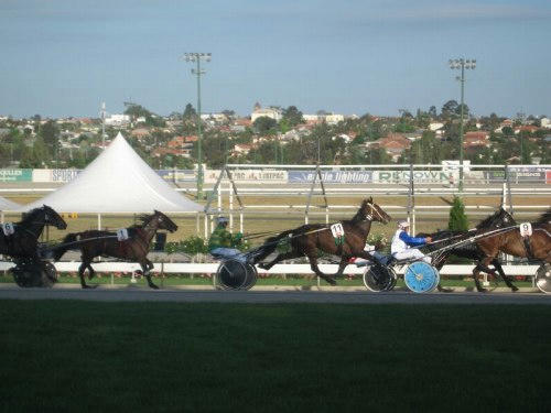 ムーニーバレー競馬場