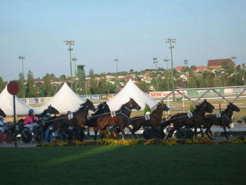 ムーニーバレー競馬場
