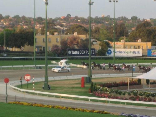 ムーニーバレー競馬場