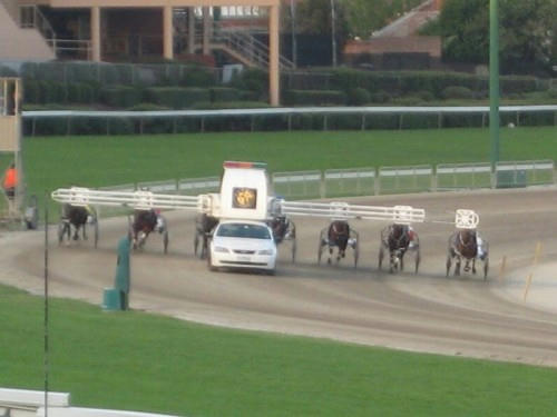 ムーニーバレー競馬場