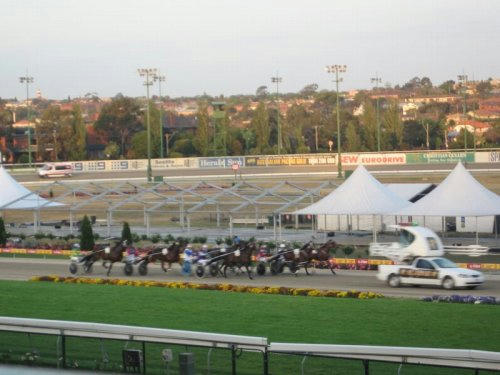 ムーニーバレー競馬場