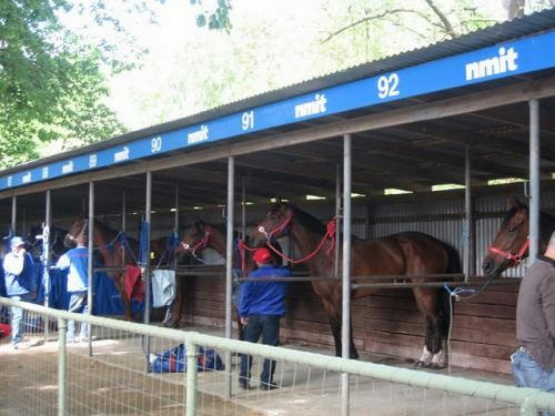 カイントン競馬場