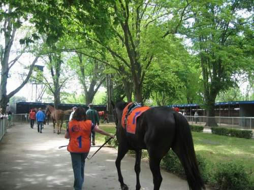 カイントン競馬場