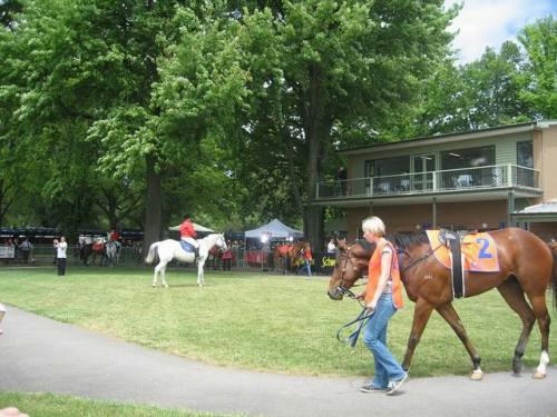 カイントン競馬場