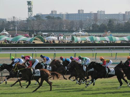 中山競馬場