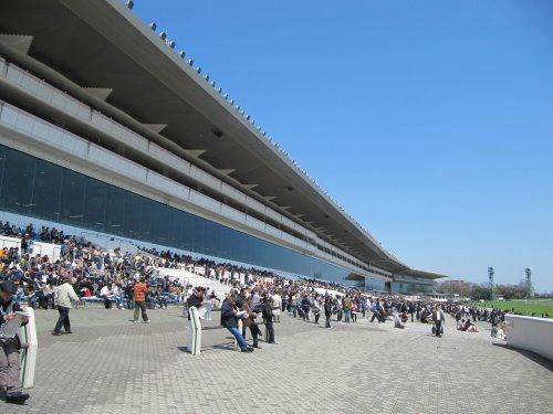 中山競馬場のスタンド