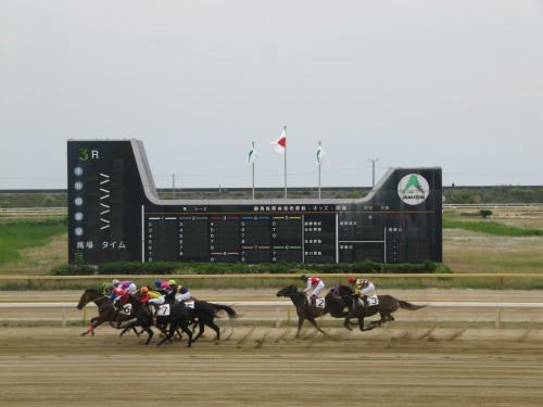 荒尾競馬場