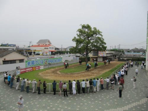 荒尾競馬場