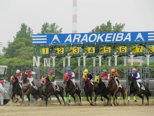 荒尾競馬場