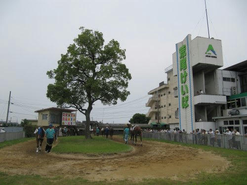 荒尾競馬場　パドック
