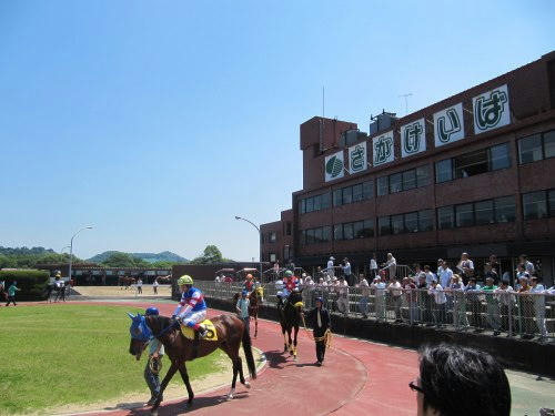 佐賀競馬場のパドックの様子