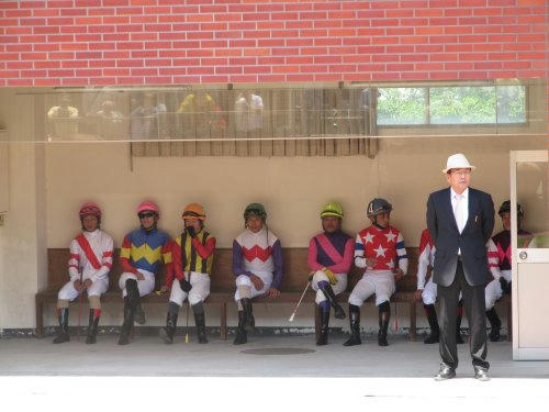 佐賀競馬場　パドック