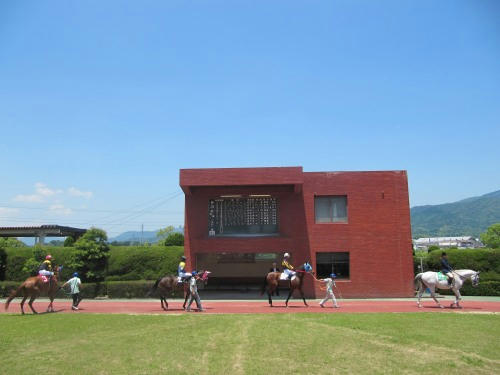 佐賀競馬場　パドック
