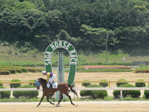 佐賀競馬場　ゴール板