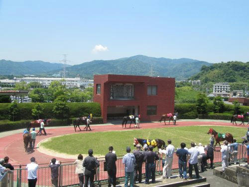 佐賀競馬場　パドック
