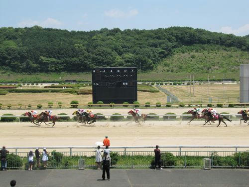 佐賀競馬場