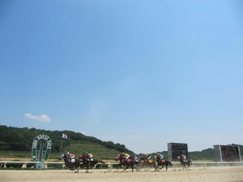 佐賀競馬場