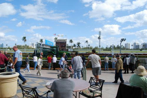 ガルフストリームパーク競馬場