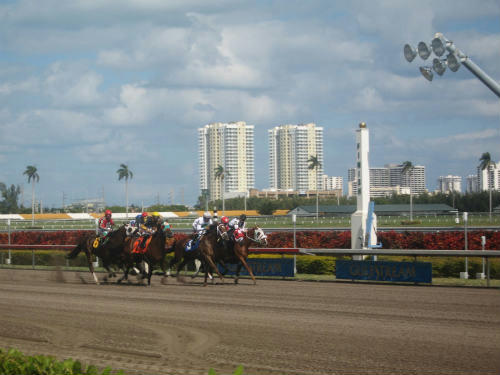 ガルフストリームパーク競馬場