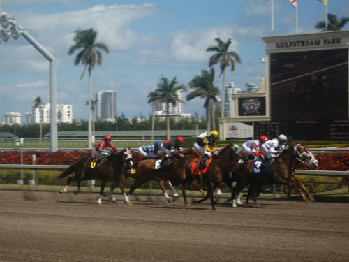 ガルフストリームパーク競馬場