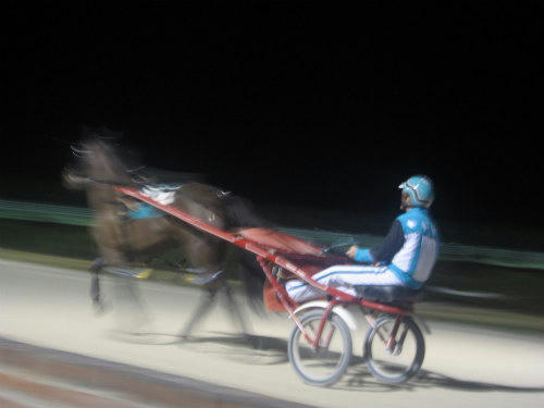 ポンパノパーク競馬場