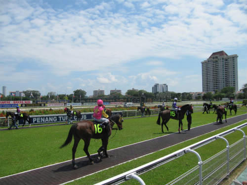 ペナン競馬場　パドック