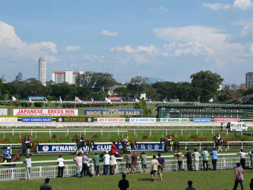 ペナン競馬場　パドック