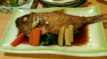 20110218192446.jpg