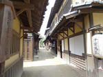 DSC00160.jpg