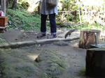 DSC00342.jpg