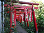 DSC00341.jpg