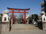 DSC00370.jpg