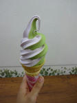 DSC00378.jpg