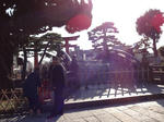 DSC00384.jpg