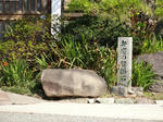 DSC00416.jpg