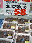 hotaruika.jpg