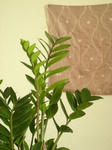 churippu_001_01.JPG