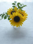 DSCN1037.JPG