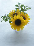 DSCN1038.JPG