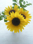 DSCN1040.JPG